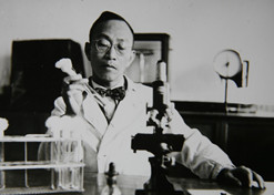 1955年，湯飛凡主持的沙眼研究小組分離出世界上第一株“沙眼衣原體”，命名為TE8，后在國際醫(yī)學(xué)界引起巨大反響