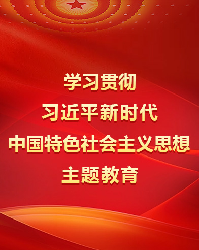 學(xué)習(xí)貫徹習(xí)近平新時(shí)代中國(guó)特色社會(huì)主義思想主題教育